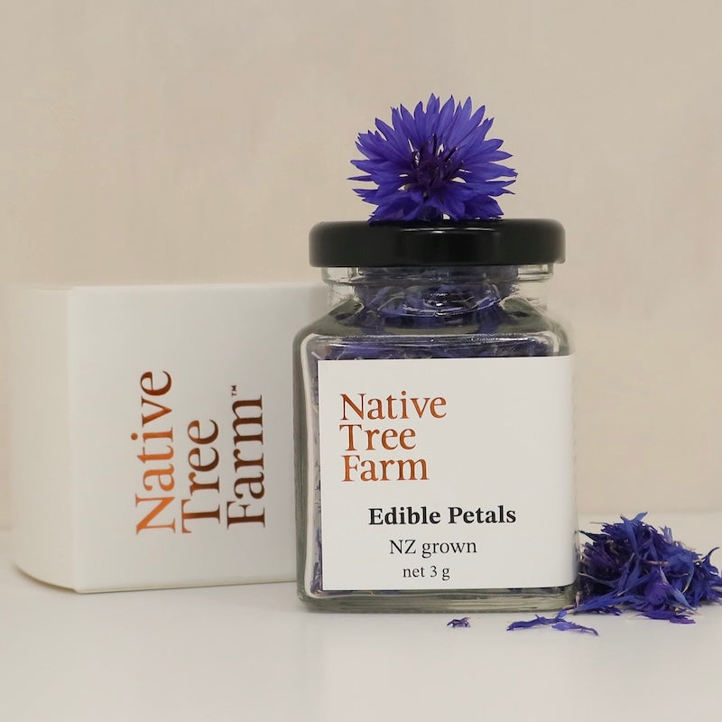 Blue edible cornflower petals in a small jar.