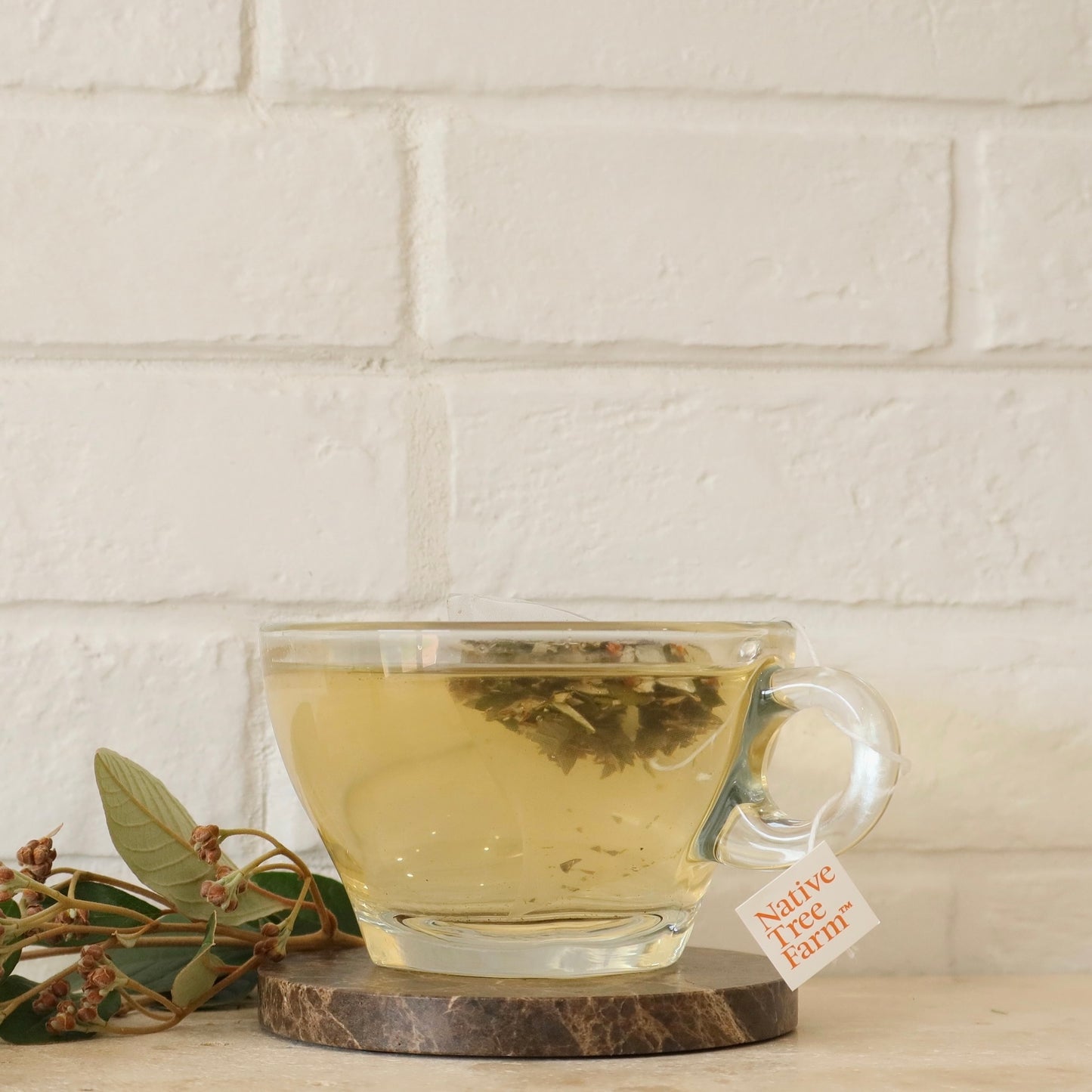 Clear glass mug with kumarahou tea on a wooden coaster against a white brick wall.