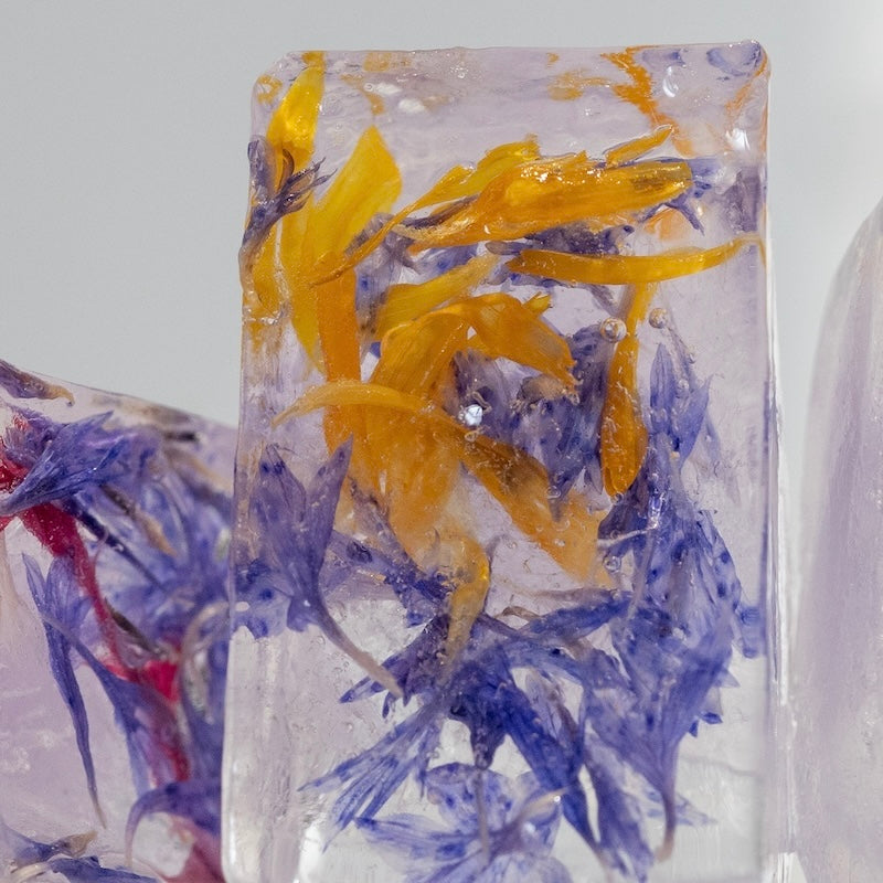ice cubes with colourful dried flower petals inside.