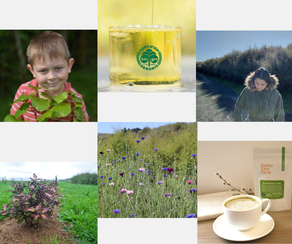 a collage of images from the native tree farm in new zealand.