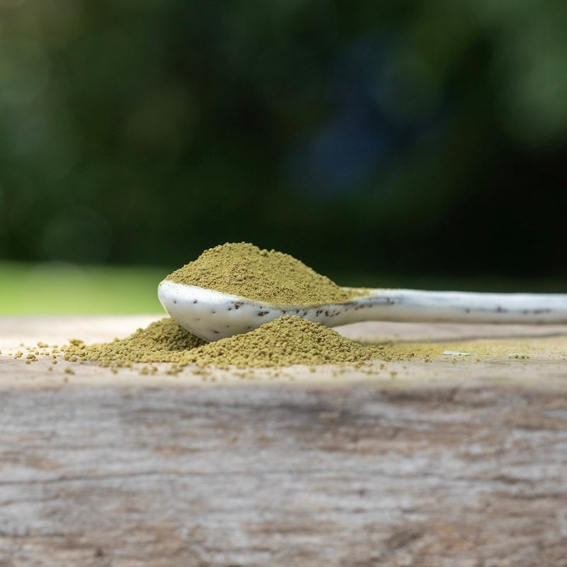 Mānuka Leaf Powder
