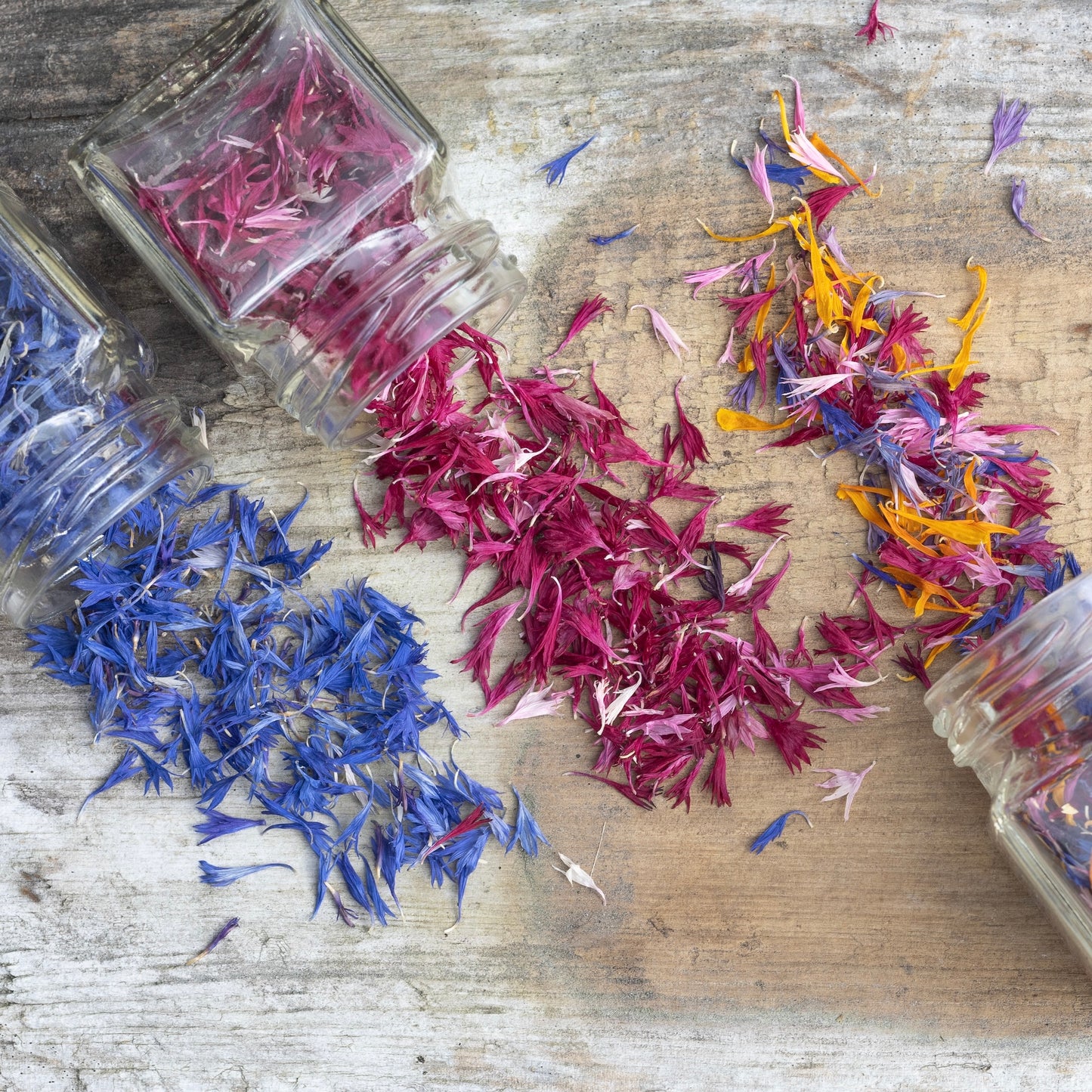 scattered colourful cornflower petals on a wood surface