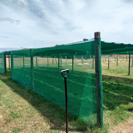 organic certified kawakawa plantation structure at Native Tree Farm