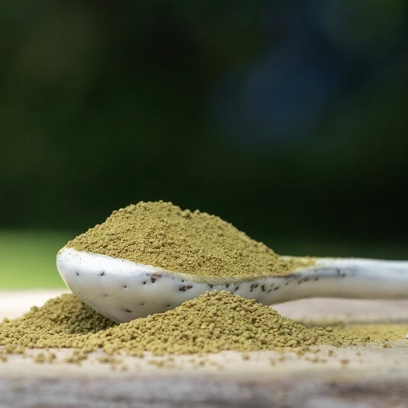 Spoonful of green kawakawa latte powder on a wooden surface with a blurred natural background