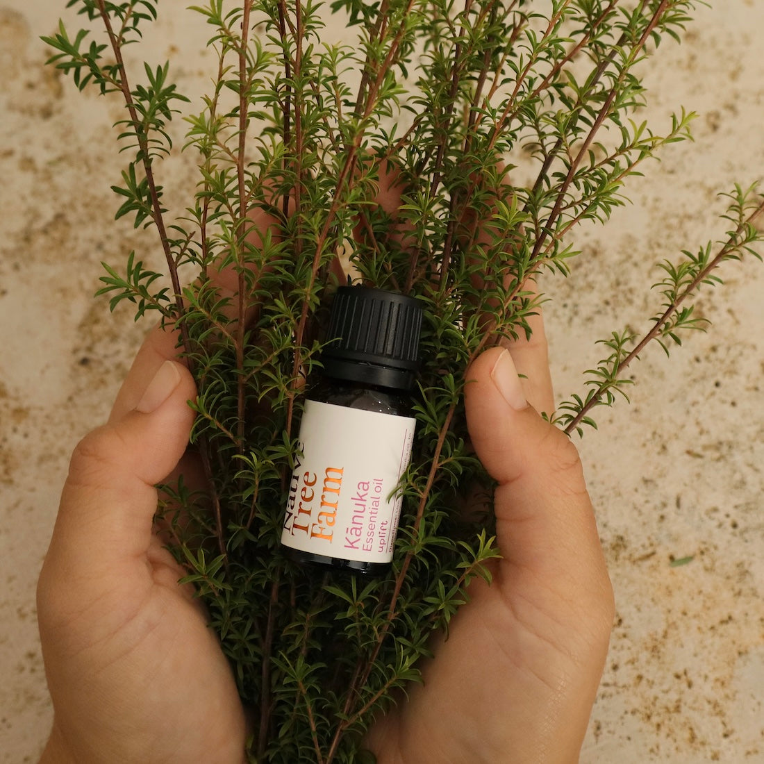 Hand holding a bottle of Kanuka Essential Oil 