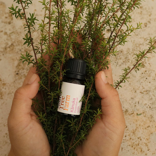 Hand holding a bottle of Kanuka Essential Oil 