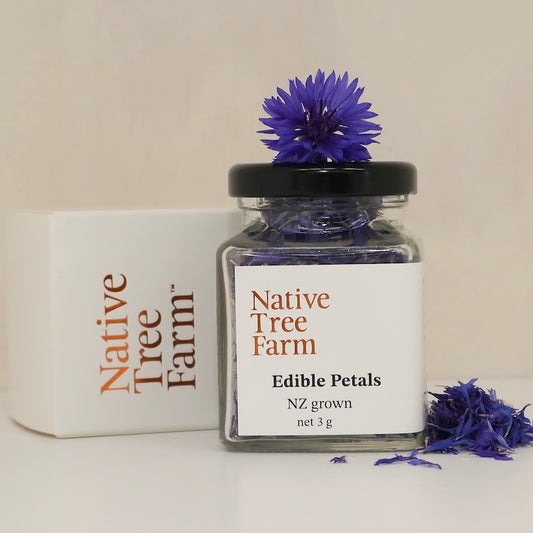 Blue edible cornflower petals in a small jar.