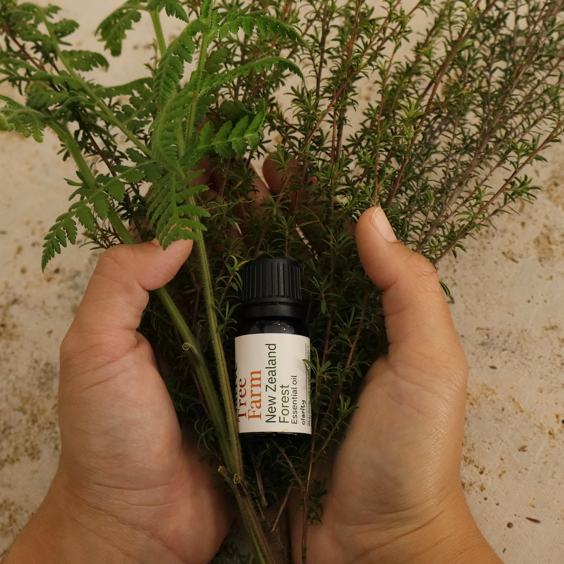 Hand holding a bottle of NZ Forest essential oil from Native Tree Farm