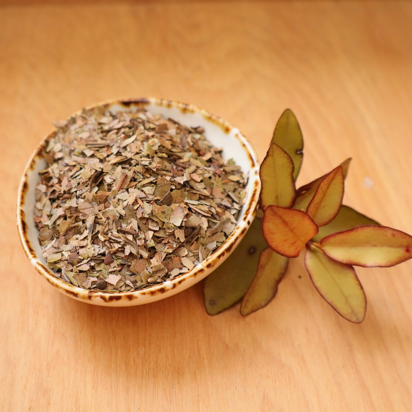 Dried horopito flakes in a bowl from Native Tree Farm in New Zealand.