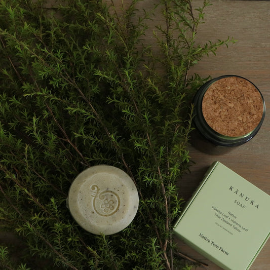 New Zealand tallow and kanuka handmade soap from Native Tree Farm in Whakatane