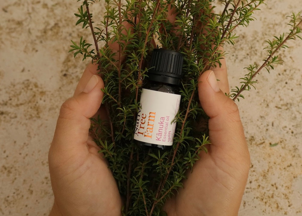 kanuka brush and kanuka essential oil from Native Tree Farm