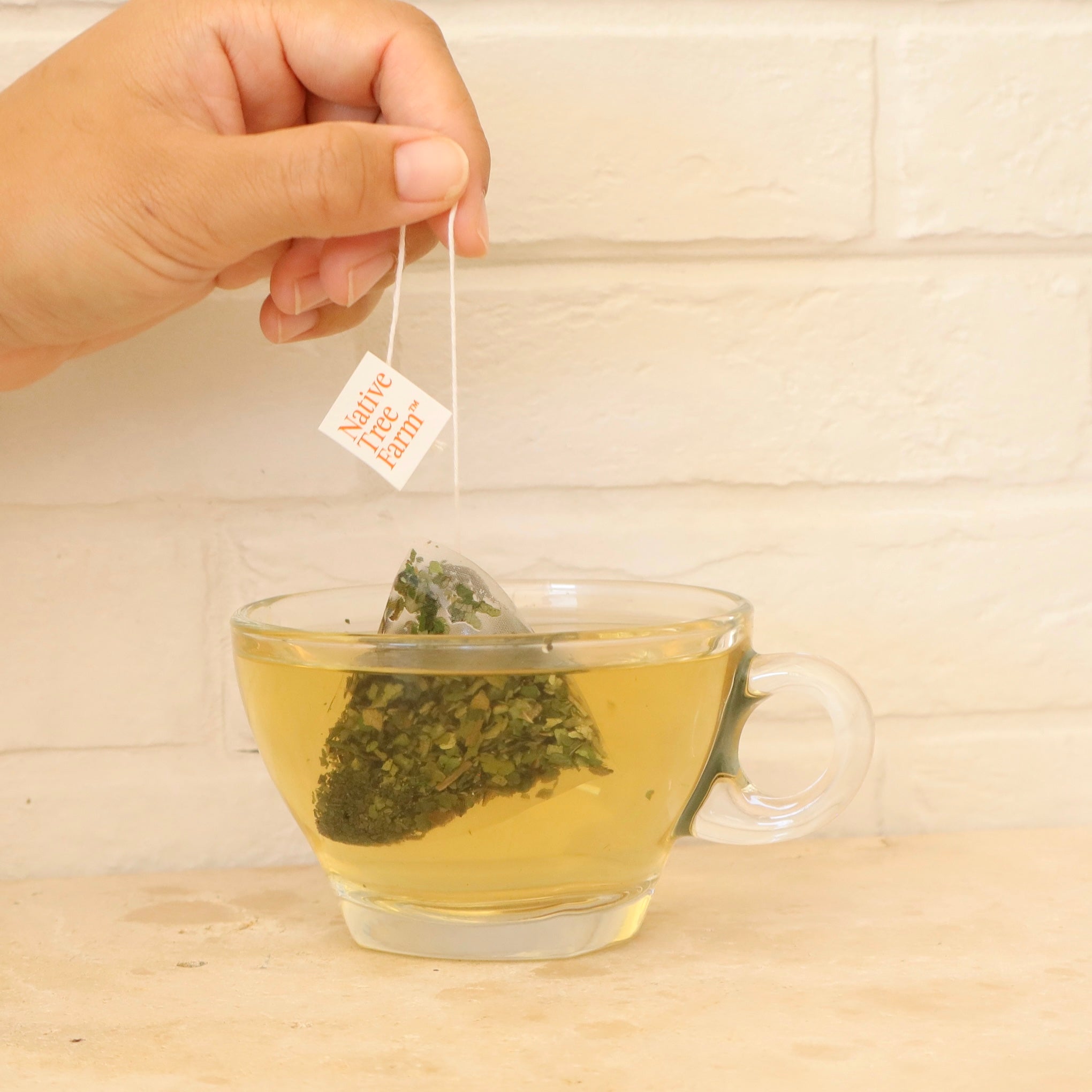 kawakawa tea bag being added to a glass of tea 