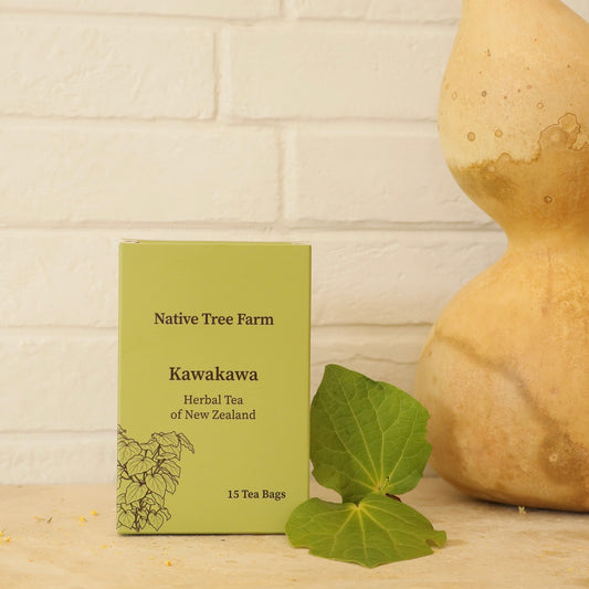 Kawakawa tea bags in tea box from Native Tree Farm in Whakatane NZ
