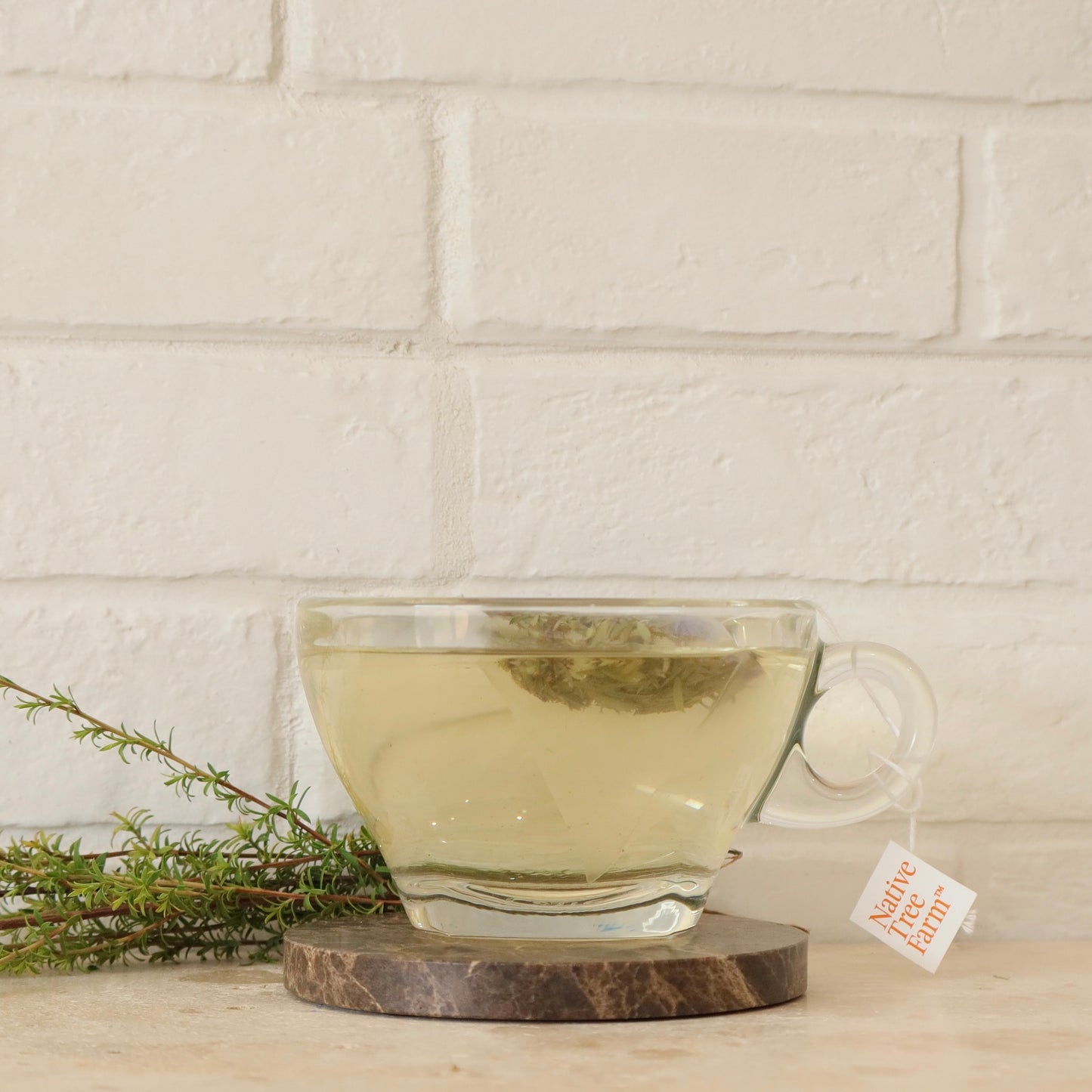 Clear glass mug with manuka calm tea on a wooden coaster against a white brick wall.