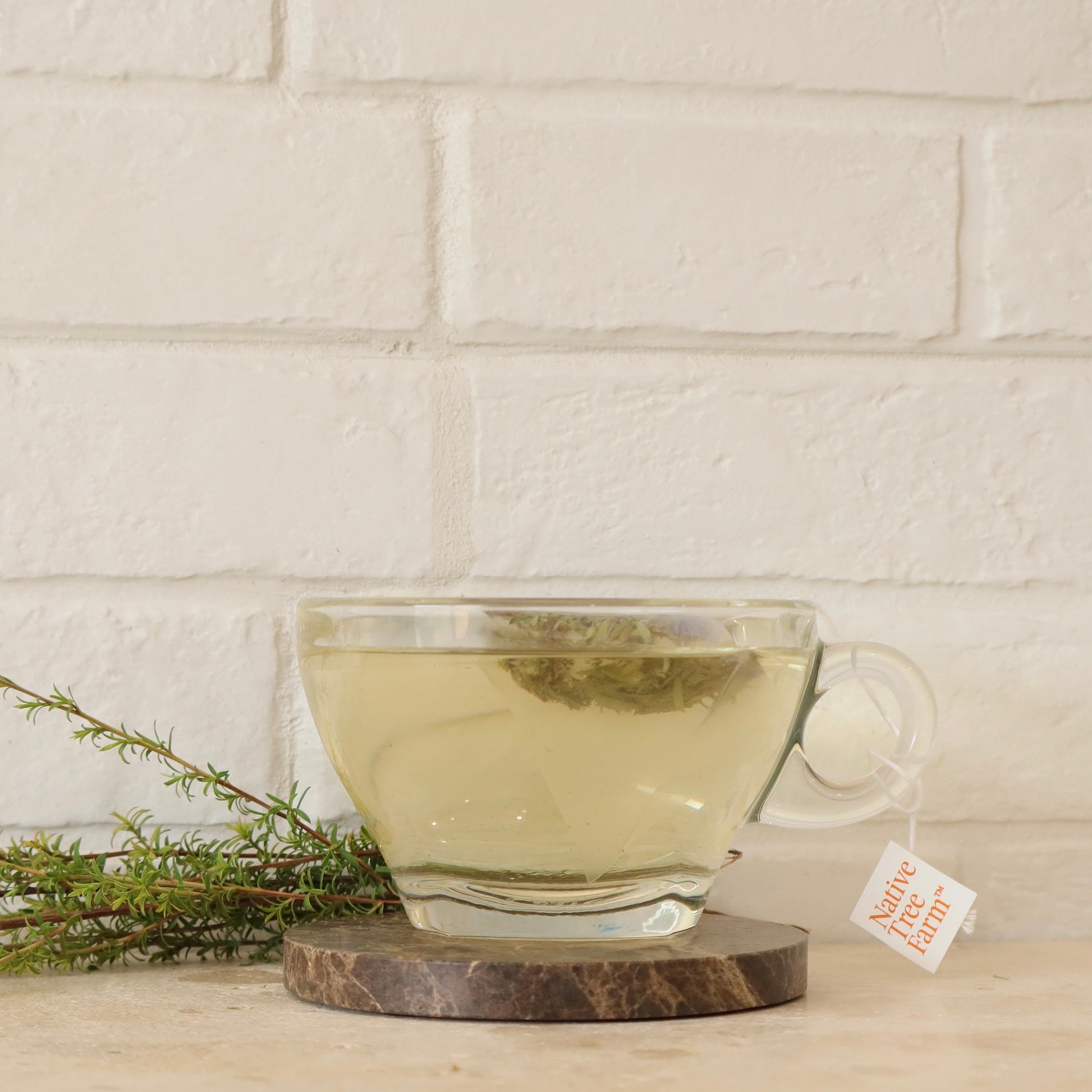 Clear glass mug with manuka calm tea on a wooden coaster against a white brick wall.
