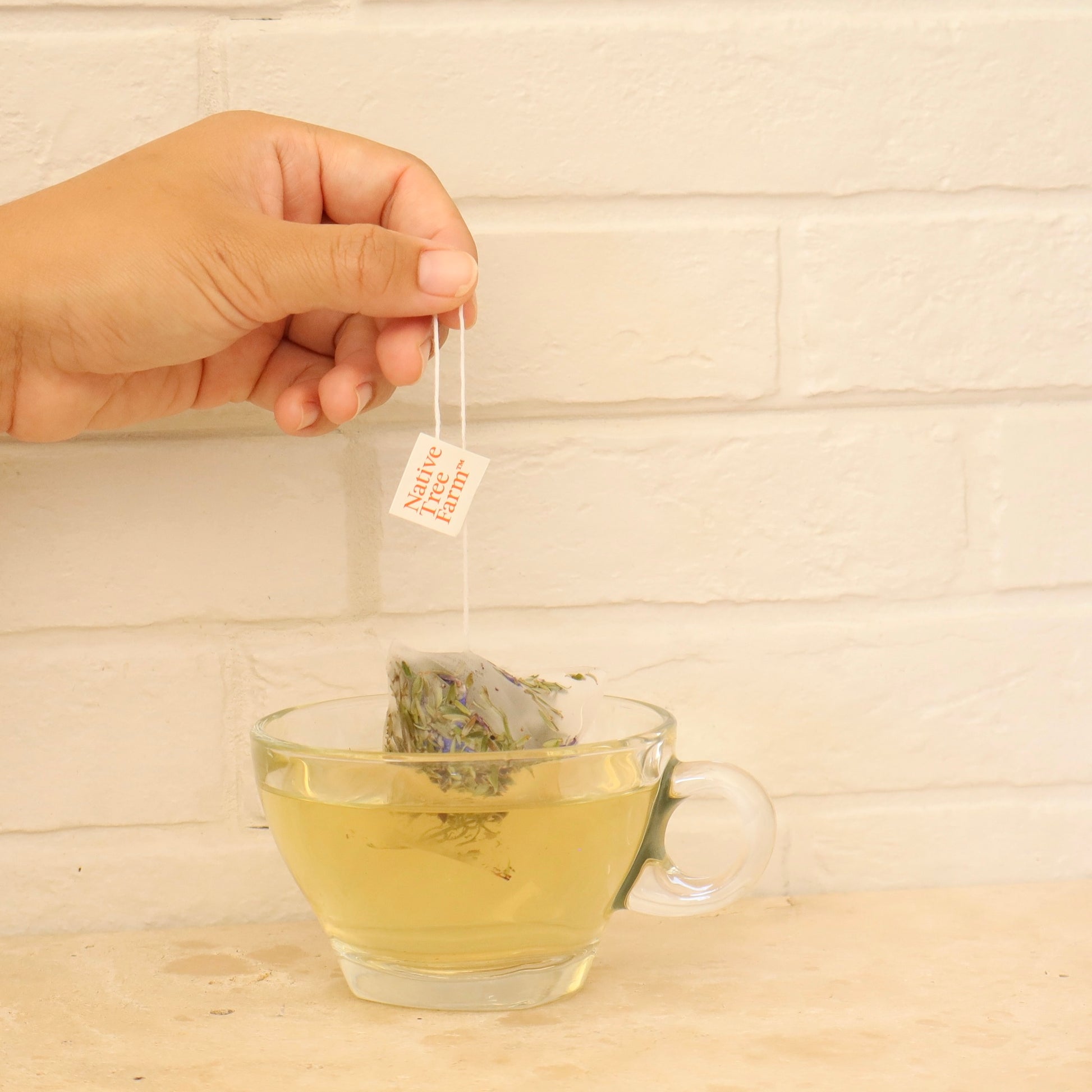 Hand holding a manuka tea bag above a glass 