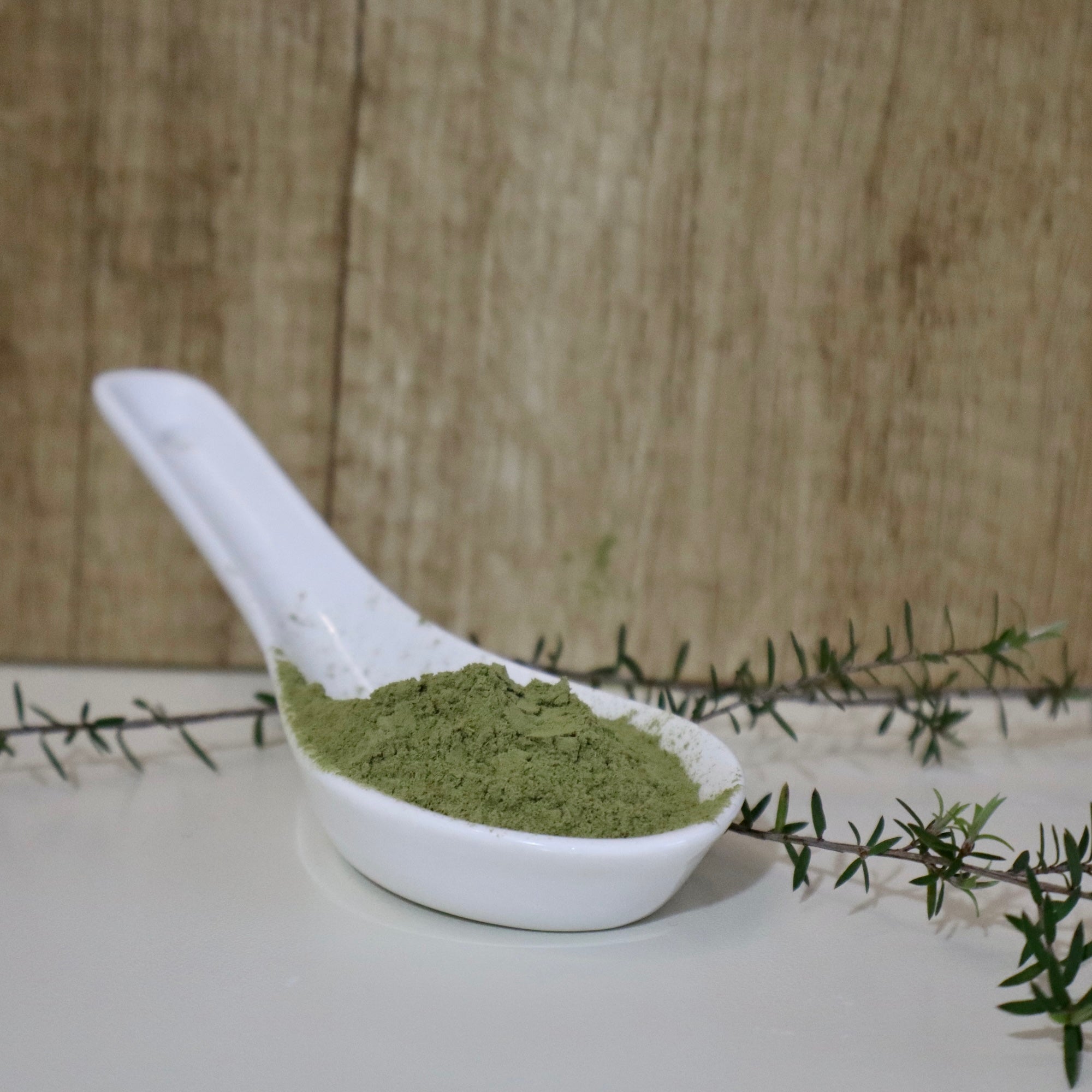 White ceramic spoon filled with green mānuka leaf powder against a wooden background