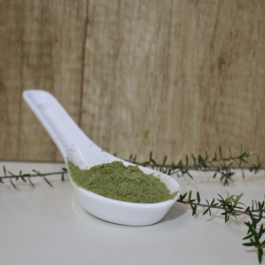 White ceramic spoon filled with green mānuka leaf powder against a wooden background