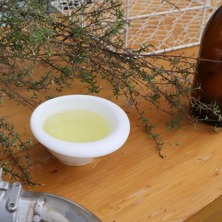 a small bowl of manuka essential oil from Native Tree Farm