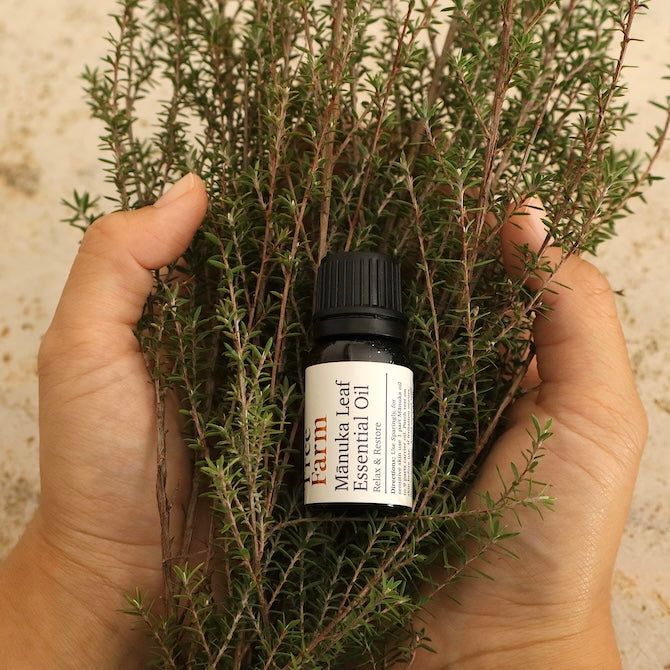 a hand holding a bottle of Native Tree Farm manuka essential oil