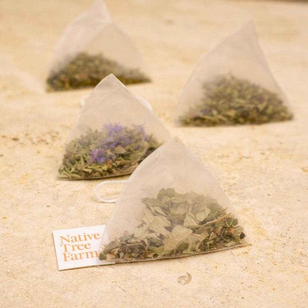 pyramid tea bags with dried herbs on a beige surface, fom native tree farm in whakatane NZ